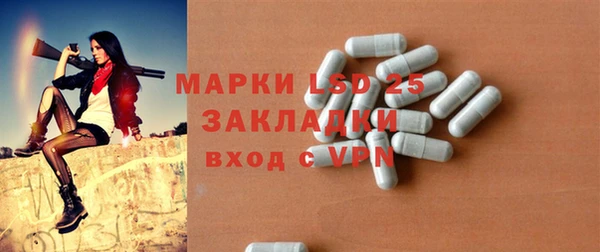 шишки Няндома
