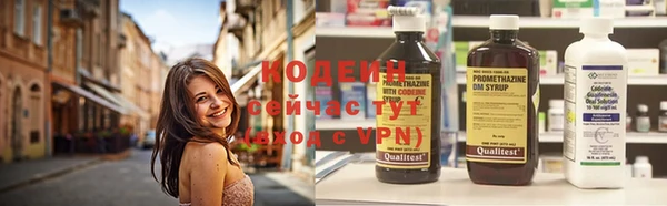 шишки Беломорск