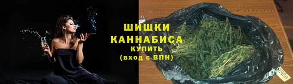 шишки Беломорск