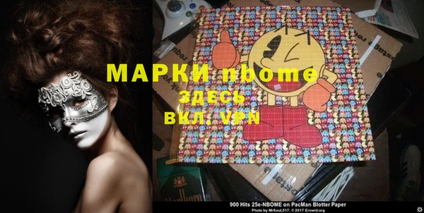 шишки Няндома