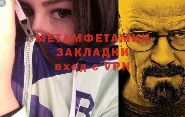 шишки Беломорск