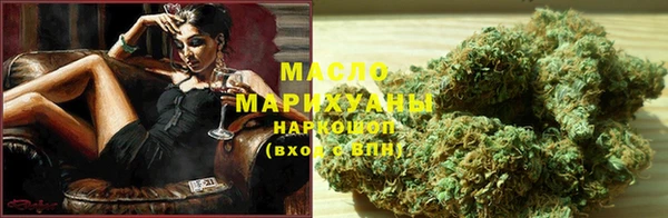 шишки Няндома