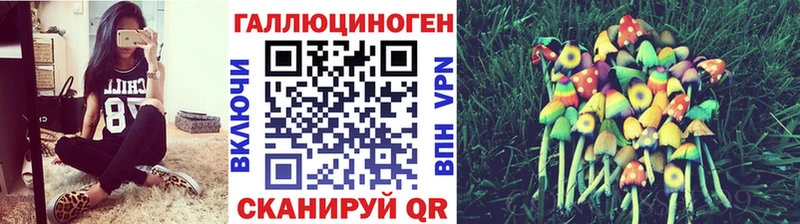 Псилоцибиновые грибы мицелий  blacksprut зеркало  Оса 